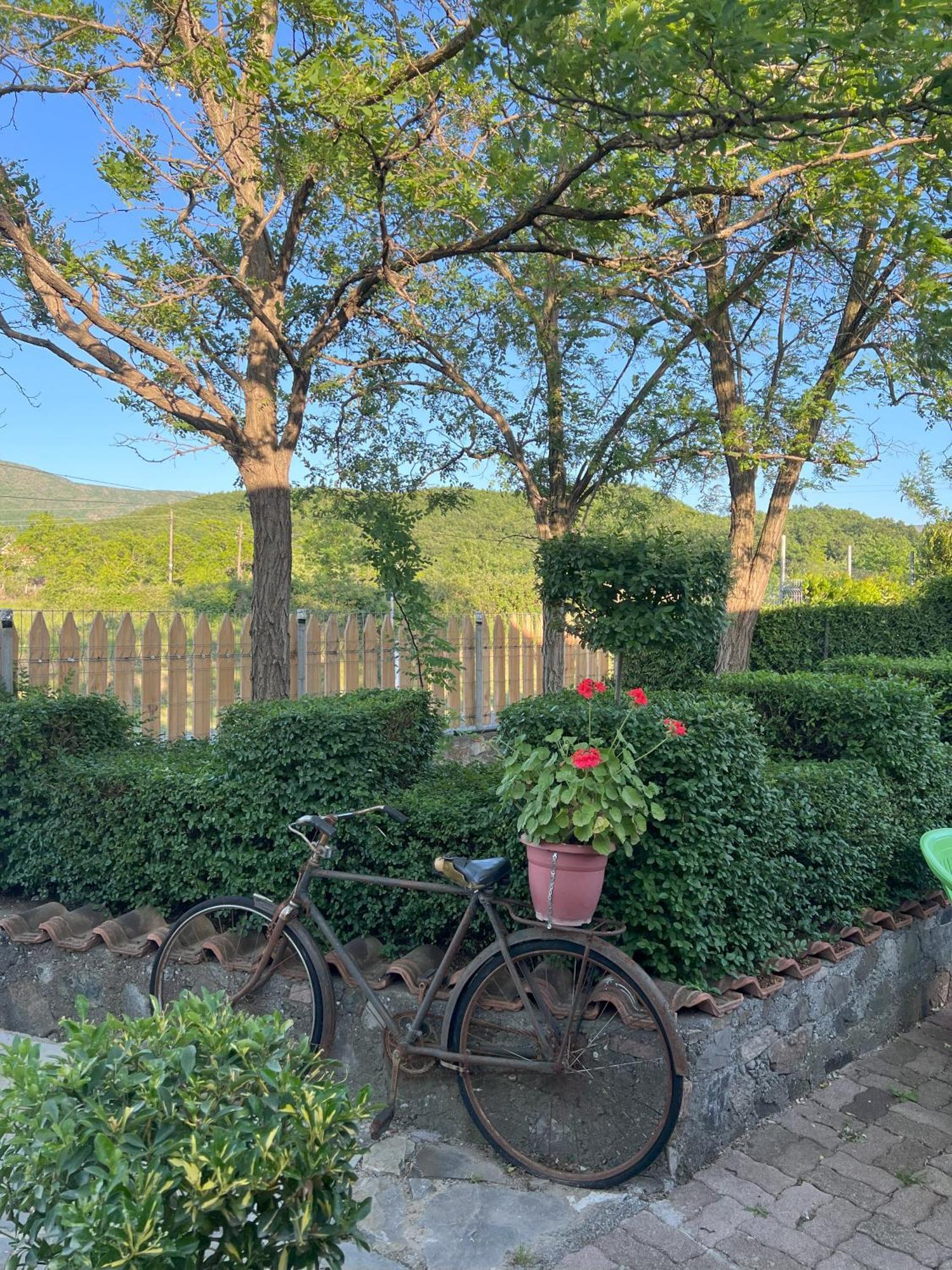 Guesthouse Koleci - Mrizi I Zanave Fishte Bagian luar foto