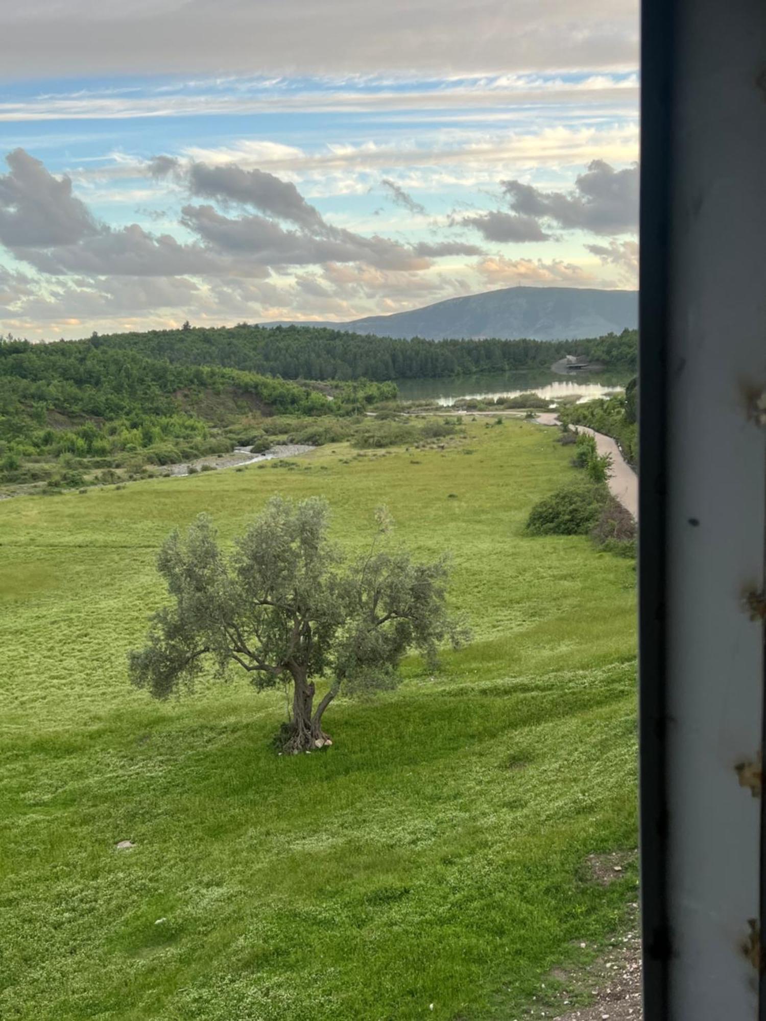 Guesthouse Koleci - Mrizi I Zanave Fishte Bagian luar foto